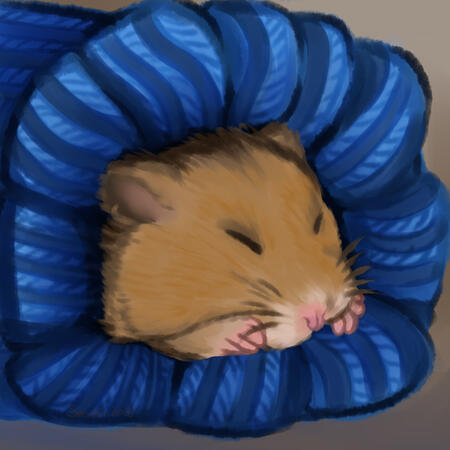 Hamster