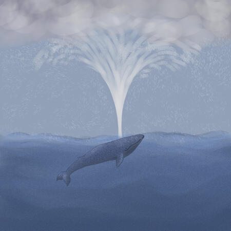 Whale Storm