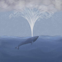 Whale Storm