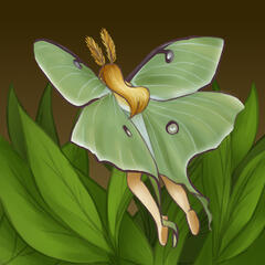 Luna Moth